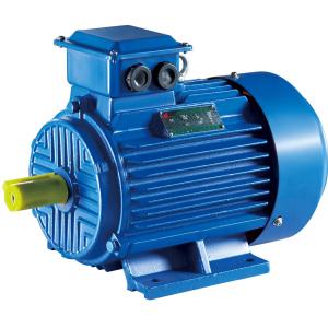 3HP Italian Sculecti large base motor 220V