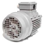 0.75HP 380V Italian Nicolini gray motor
