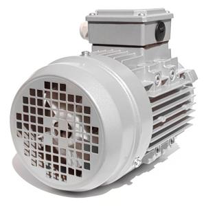3HP 220V Italian Nicolini gray motor